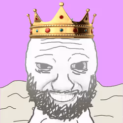 558