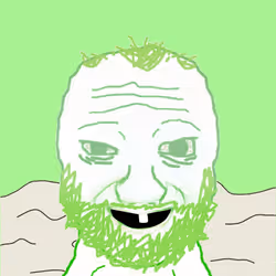 255