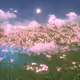 Wishes For You