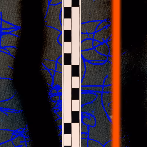 Shockline By Marc Horowitz