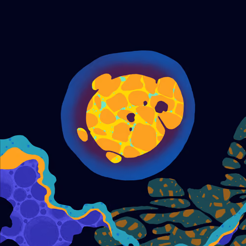 M67-Echidna(LB:Gold)