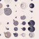 101