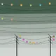 366