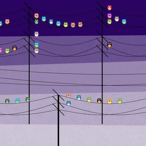 Chirp Chirp