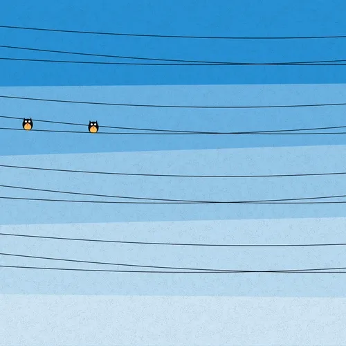 Chirp Chirp