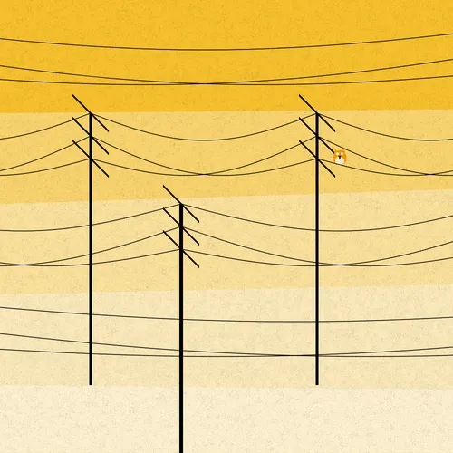Chirp Chirp