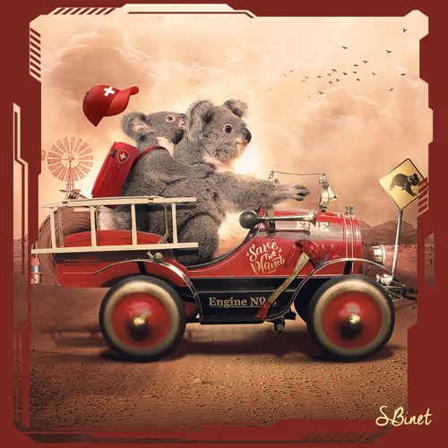KOALA First gift   #13/16