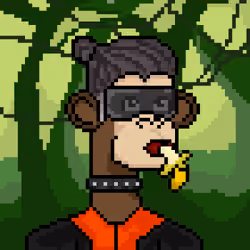 ApePunks #536