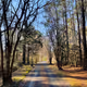 Virginia Winter