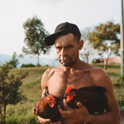 The Cockfighter