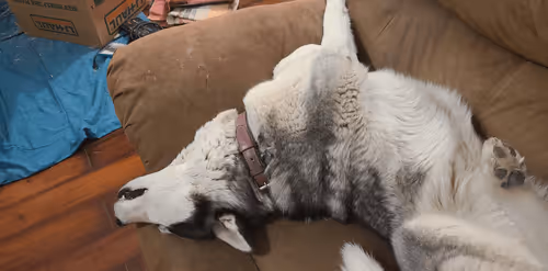 Unidentified contract - PEIBI5ktc9