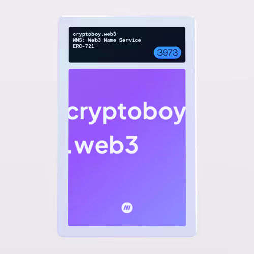 Minter Token - WNS: Web3 Name Service #3973