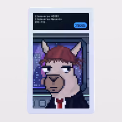 Minter Token - Llamaverse Genesis #2885