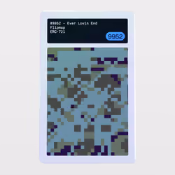 Minter Token - Flipmap #9952