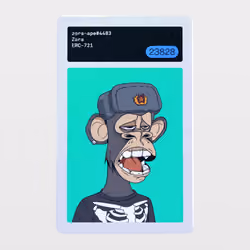 Minter Token - Zora #23828