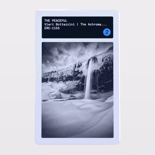Minter Token - Vieri Bottazzini | The Achromatic Editions #2