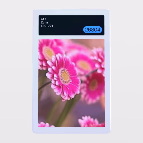 Minter Token