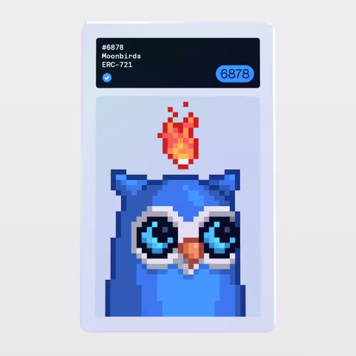 Minter Token - Moonbirds #6878