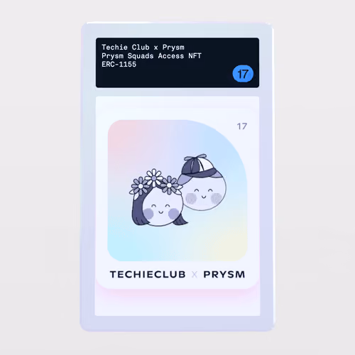 Minter Token - Prysm Squads Access NFT #17
