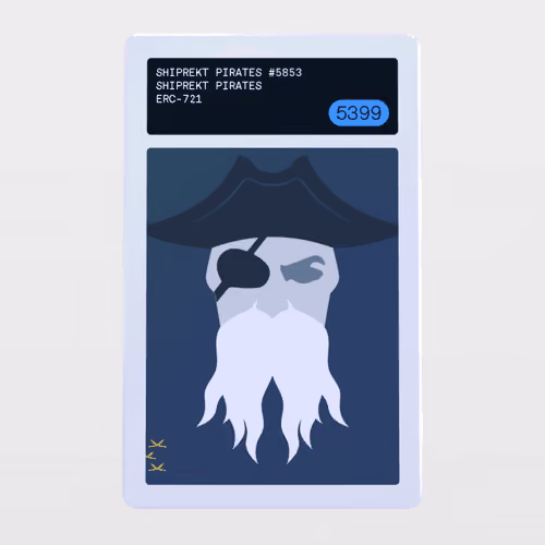 Minter Token - SHIPREKT PIRATES #5399