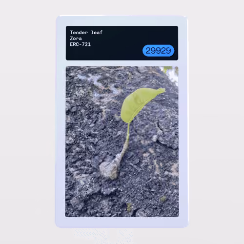Minter Token - Zora #29929