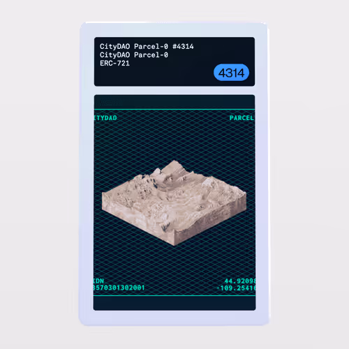Minter Token - CityDAO Parcel-0 #4314