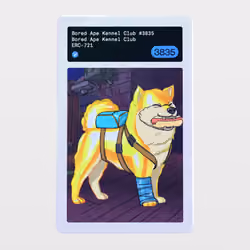 Minter Token - Bored Ape Kennel Club #3835
