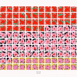 Windows #377