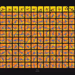 221