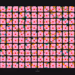 Windows #122