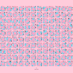 Windows #165