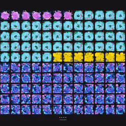 Windows #595