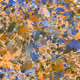 256