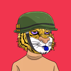 Fighter #27