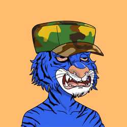 Fighter #376