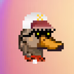 Duckheadz Official #157
