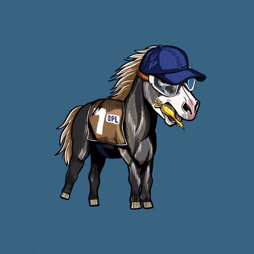 Galacticponyleague