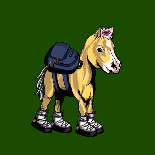 Galacticponyleague
