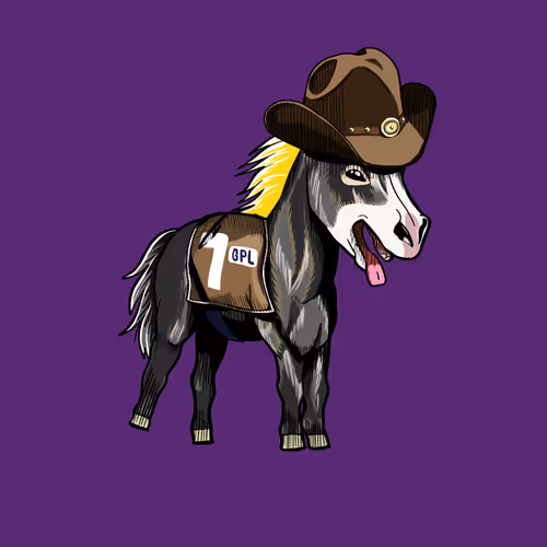 Galacticponyleague