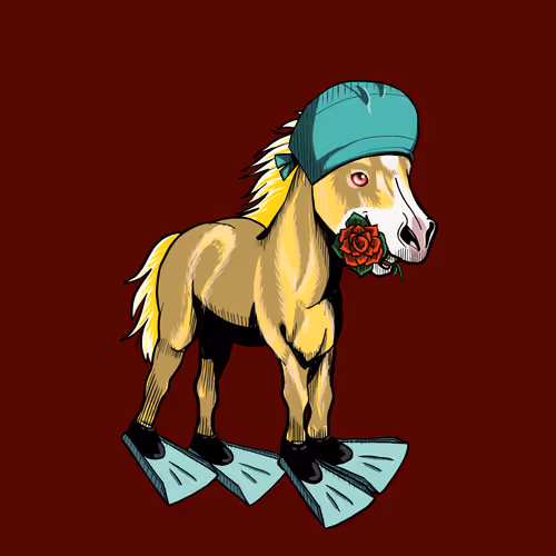 Galacticponyleague