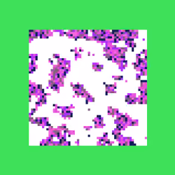 aciOS: Node #137