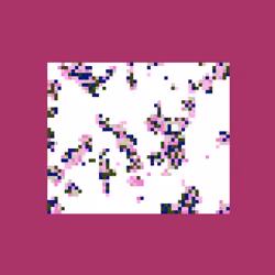 aciOS: Node #403
