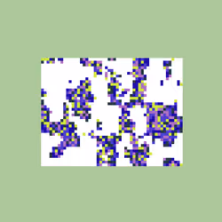 aciOS: Node #960