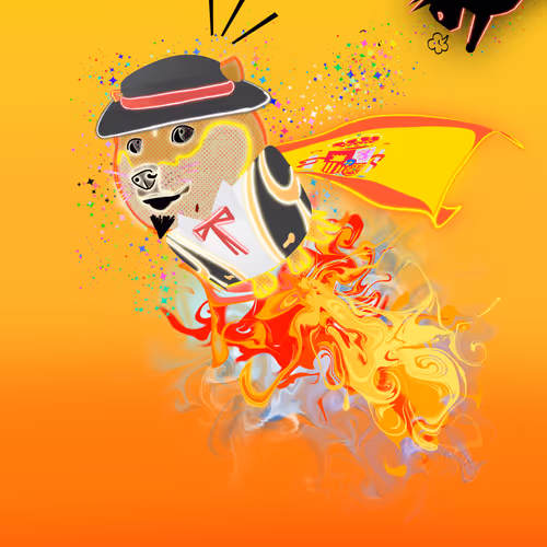 Doge Blast Off : Bull Run is Here 