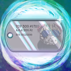 Top Dog Tag #5720