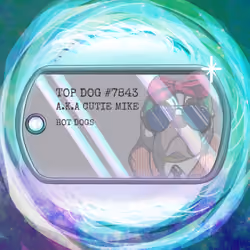 Top Dog Tag #7843