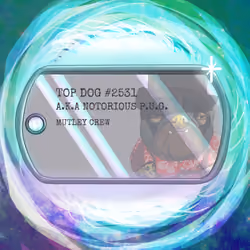 Top Dog Tag #2531
