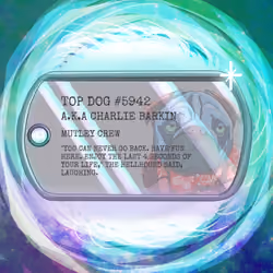 Top Dog Tag #5942