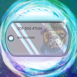 Top Dog Tag #7569