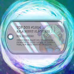 Top Dog Tag #1824